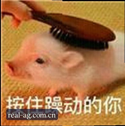 张婷